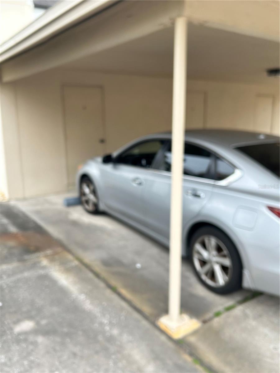 2462 KINGFISHER LN #J203, CLEARWATER, FL, 33762