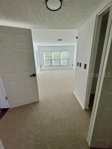 2462 KINGFISHER LN #J203, CLEARWATER, FL, 33762
