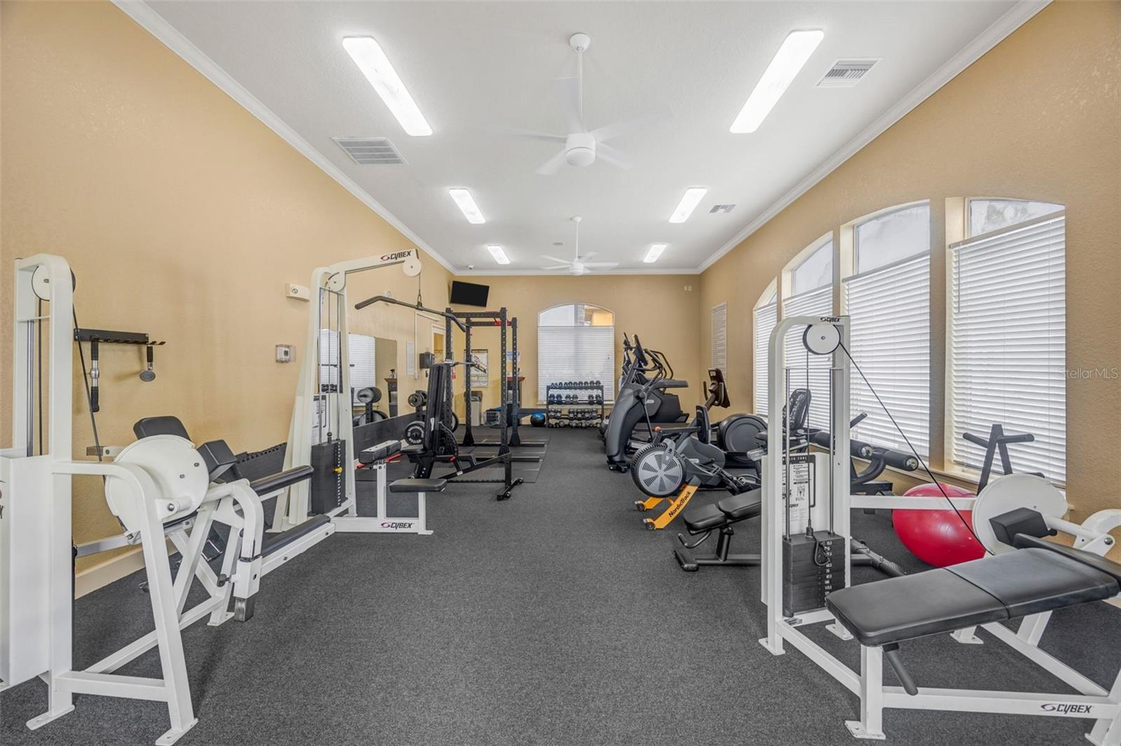 4309 BAYSIDE VILLAGE DR #101, TAMPA, FL, 33615