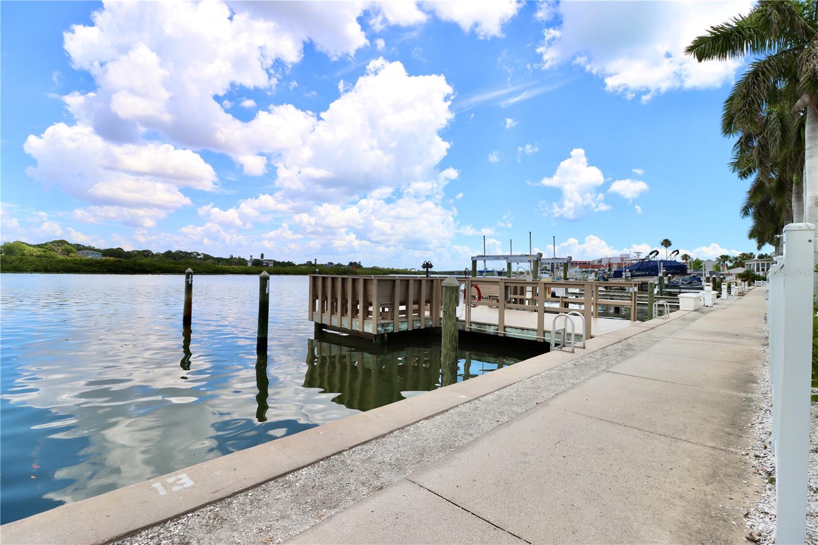 19417 GULF BLVD #D201, INDIAN ROCKS BEACH, FL, 33785