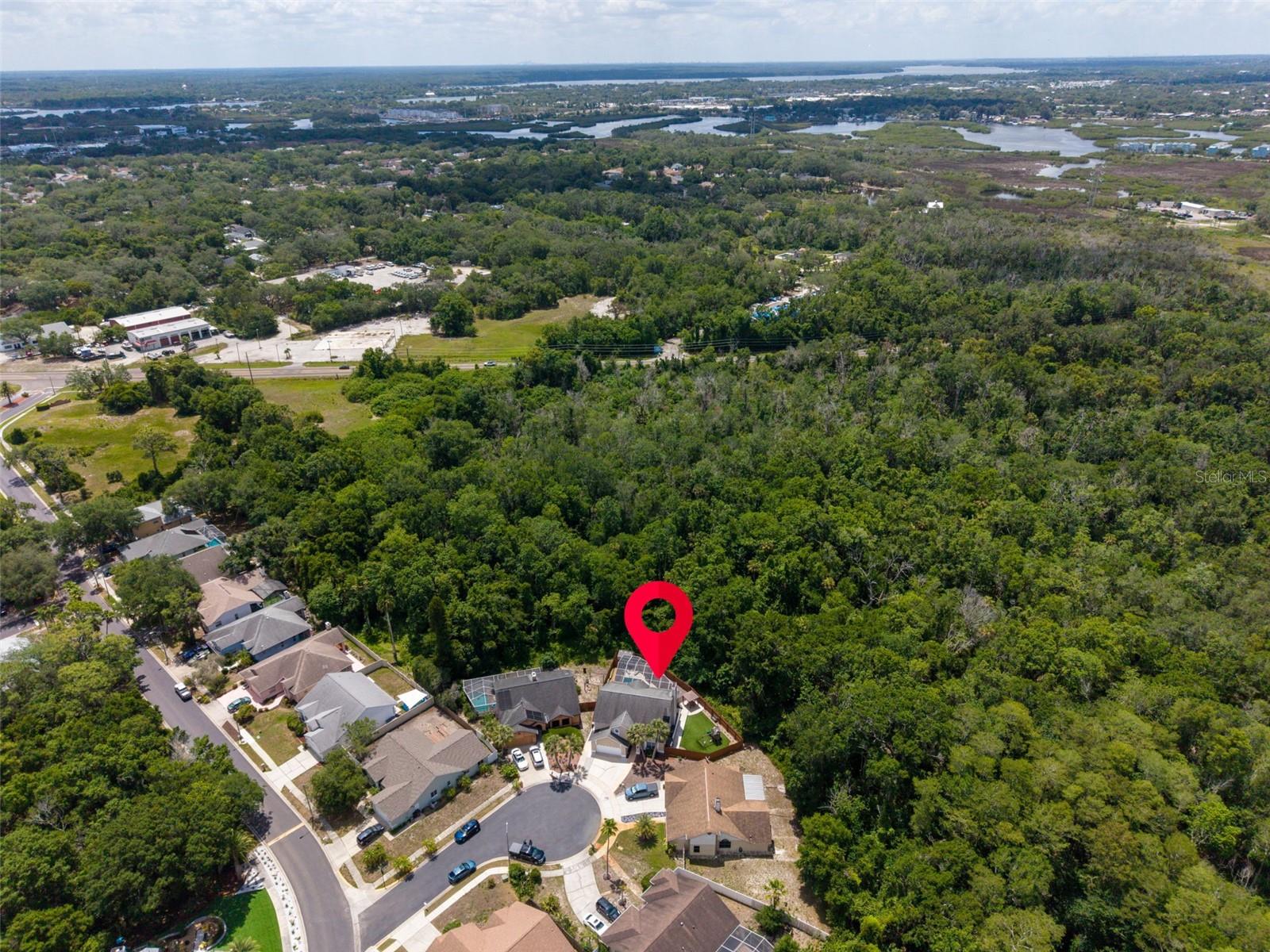 1802 WOOD STOCK CIR, TARPON SPRINGS, FL, 34689