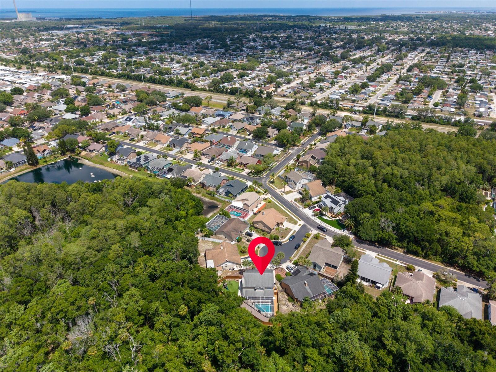 1802 WOOD STOCK CIR, TARPON SPRINGS, FL, 34689