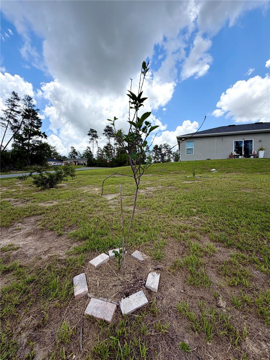 15943 SW 53RD CT, OCALA, FL, 34473