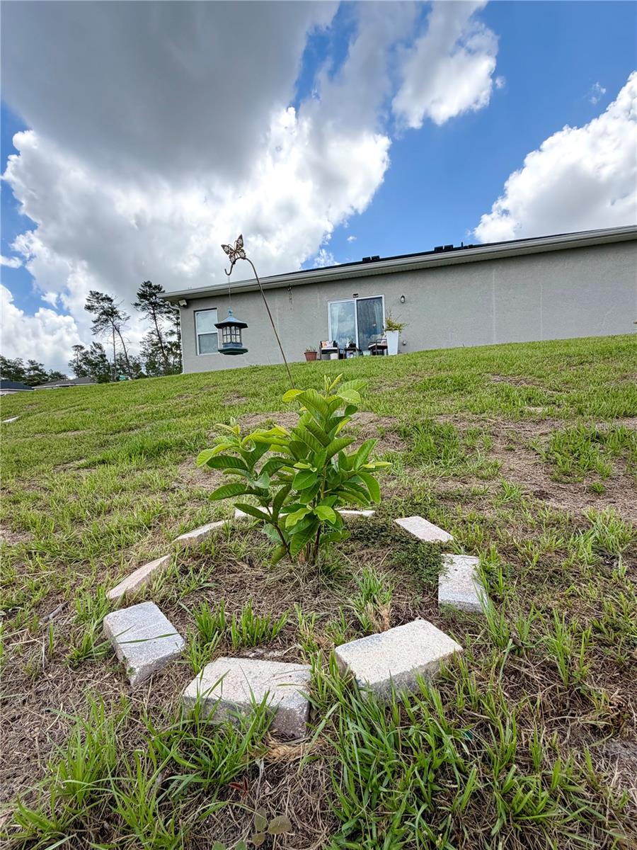 15943 SW 53RD CT, OCALA, FL, 34473