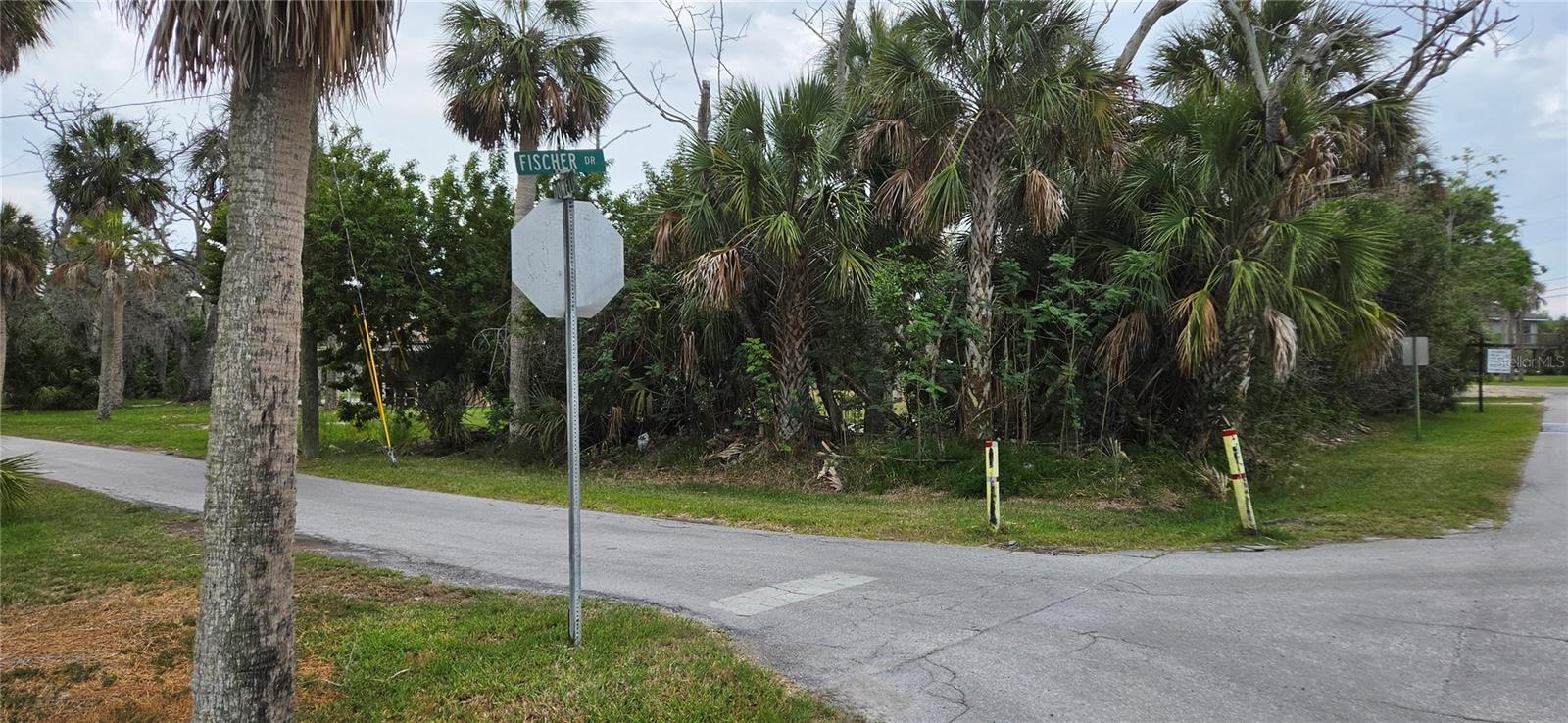 4824 DOWELL DR, PORT RICHEY, FL, 34668