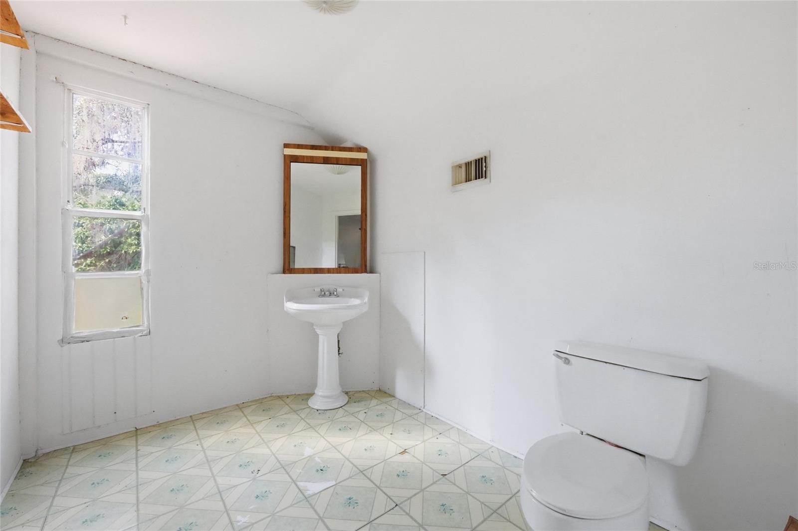 20224 SE 156TH PL, UMATILLA, FL, 32784