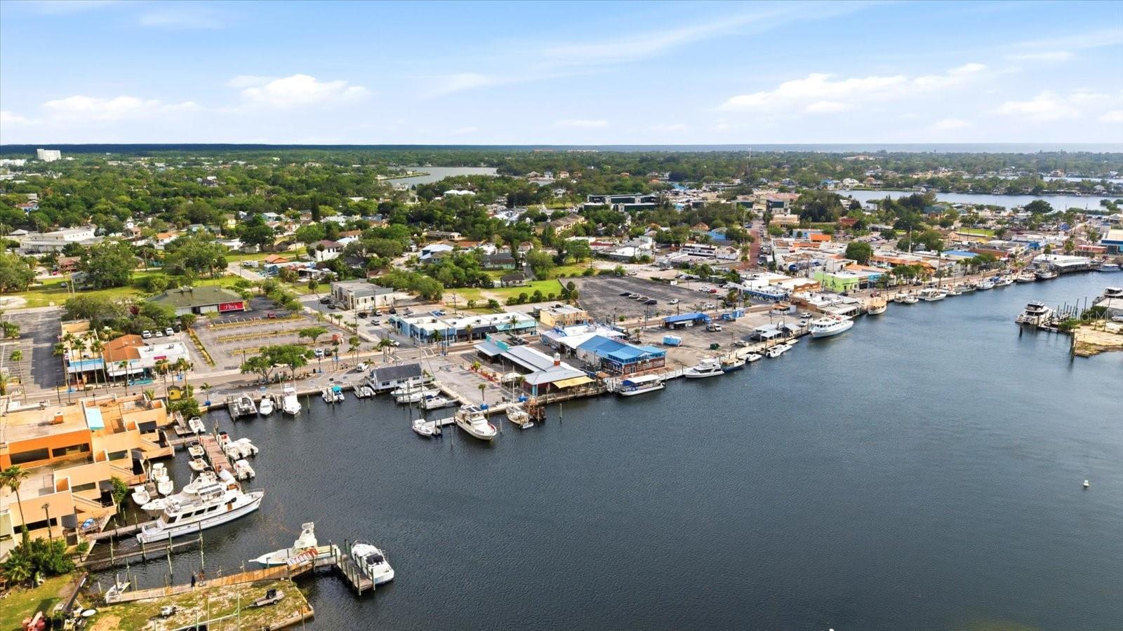 1038 WIDEVIEW AVE, TARPON SPRINGS, FL, 34689