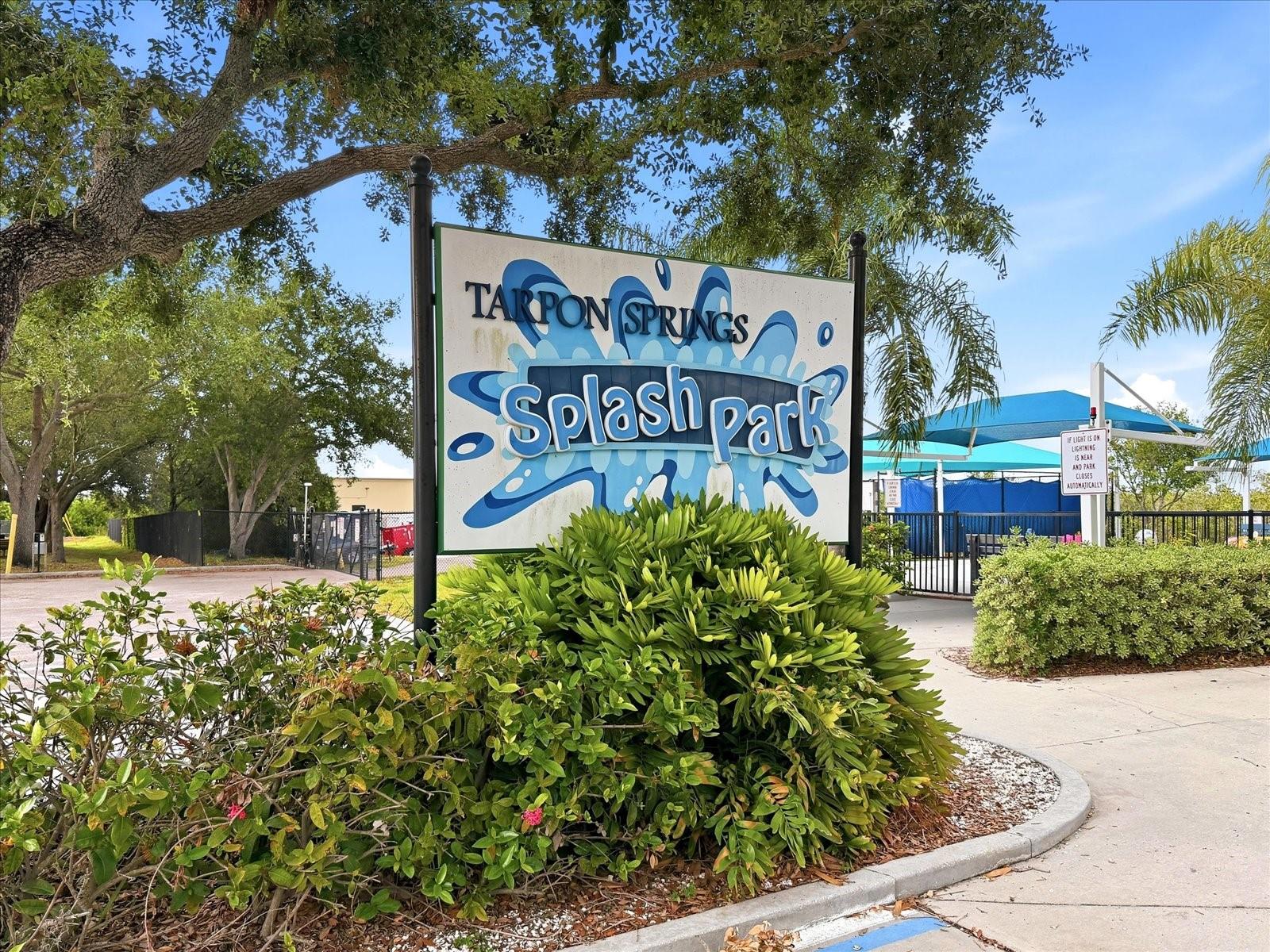 1038 WIDEVIEW AVE, TARPON SPRINGS, FL, 34689