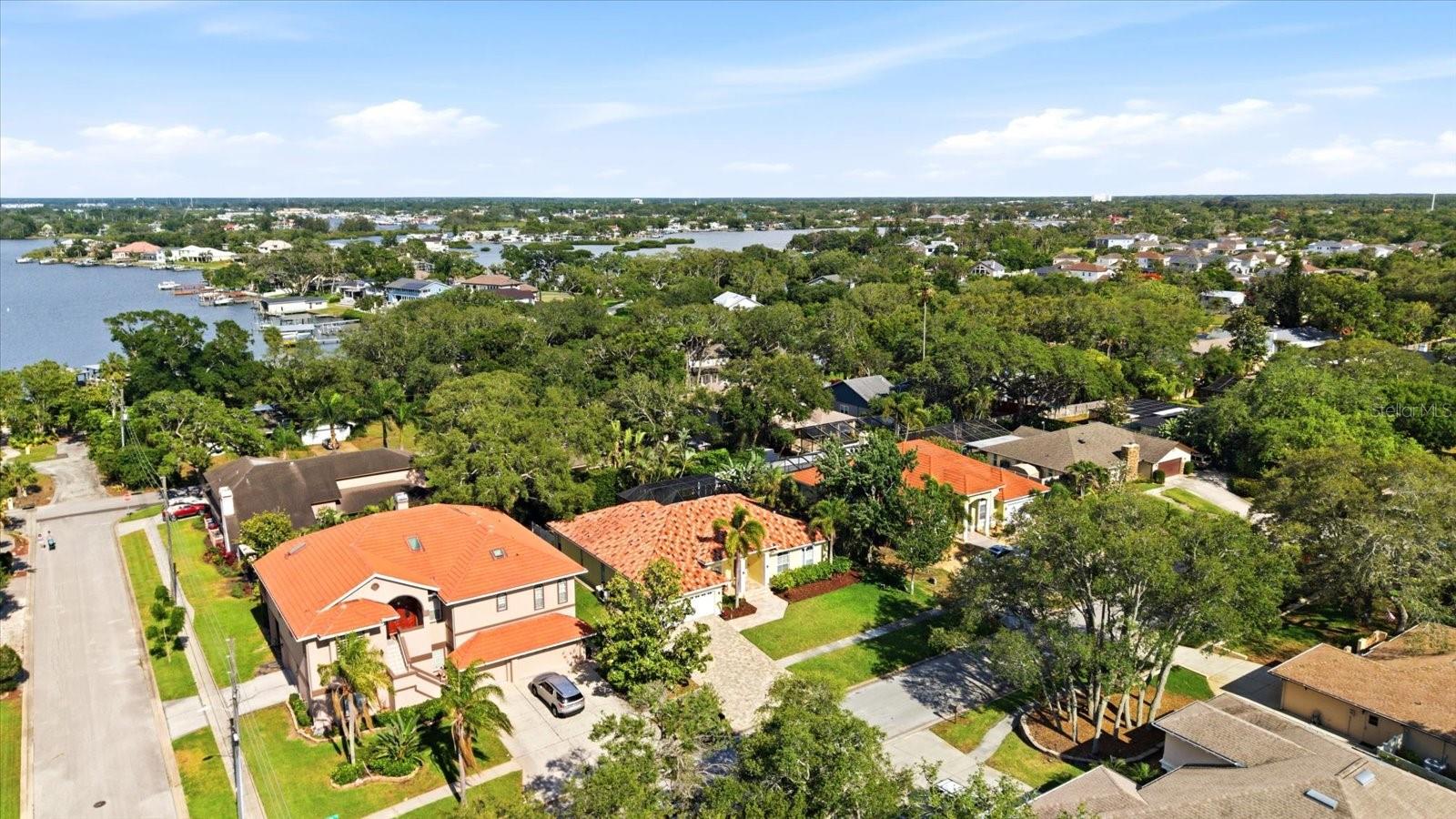 1038 WIDEVIEW AVE, TARPON SPRINGS, FL, 34689