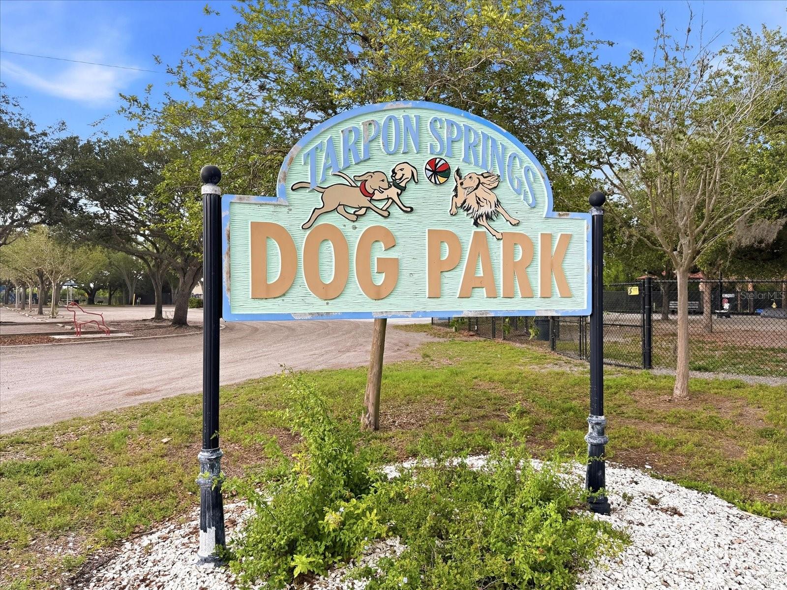 1038 WIDEVIEW AVE, TARPON SPRINGS, FL, 34689