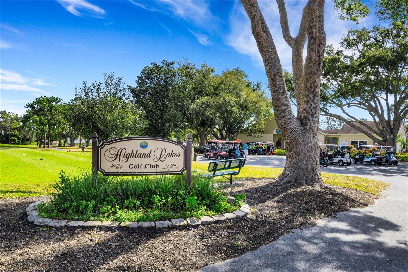 3157 MISSION GROVE DR, PALM HARBOR, FL, 34684