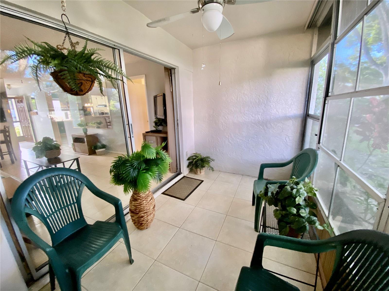 3157 MISSION GROVE DR, PALM HARBOR, FL, 34684