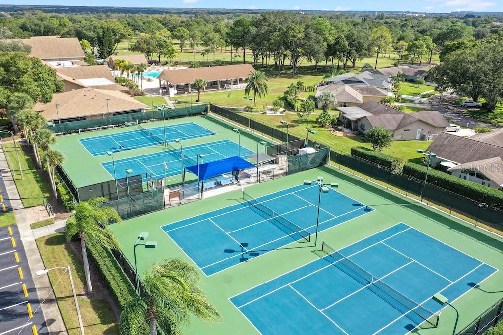 3157 MISSION GROVE DR, PALM HARBOR, FL, 34684