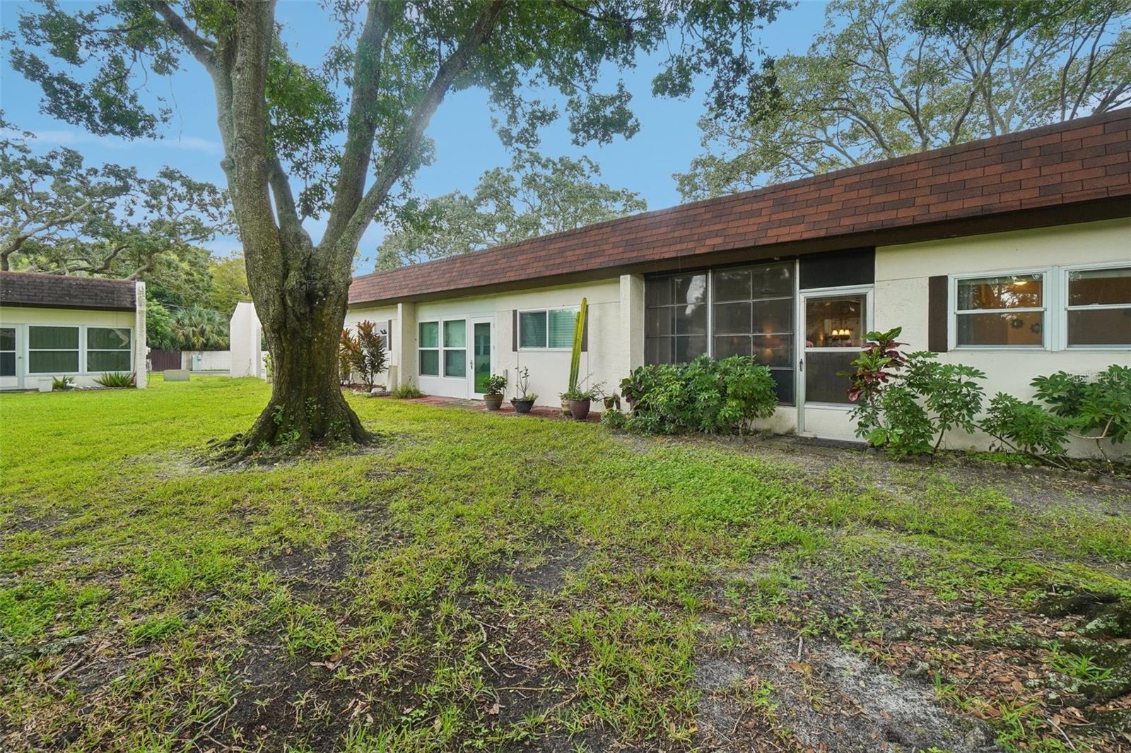 3157 MISSION GROVE DR, PALM HARBOR, FL, 34684