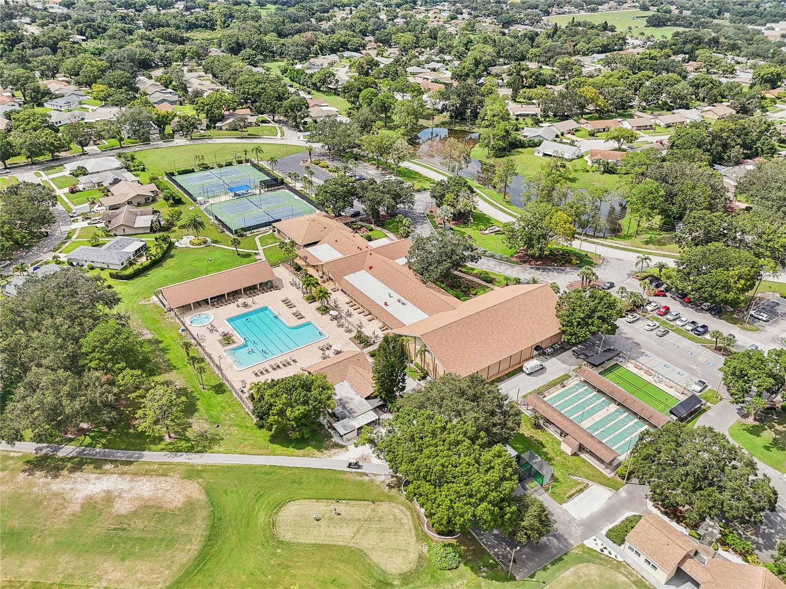 3157 MISSION GROVE DR, PALM HARBOR, FL, 34684