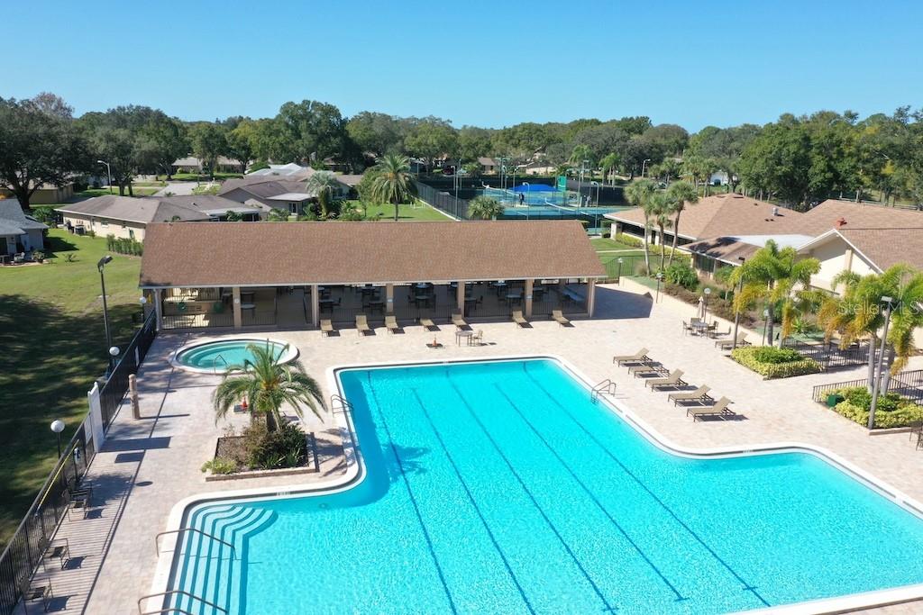 3157 MISSION GROVE DR, PALM HARBOR, FL, 34684