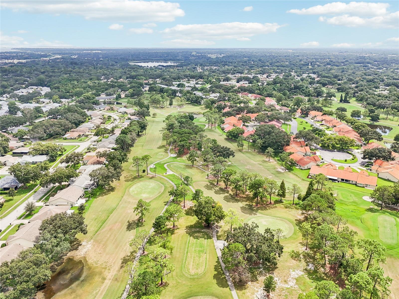 3157 MISSION GROVE DR, PALM HARBOR, FL, 34684