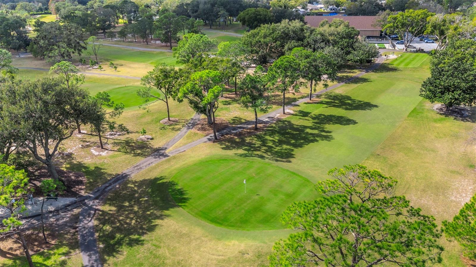 3157 MISSION GROVE DR, PALM HARBOR, FL, 34684