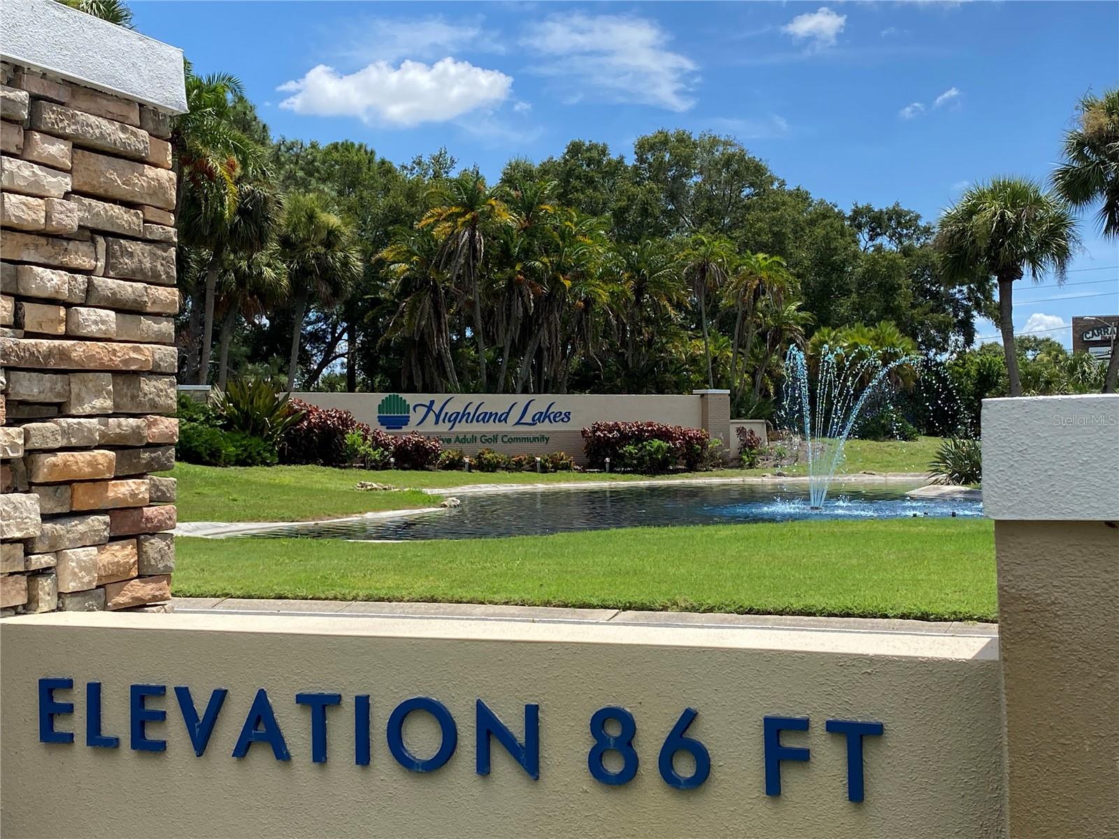 3157 MISSION GROVE DR, PALM HARBOR, FL, 34684