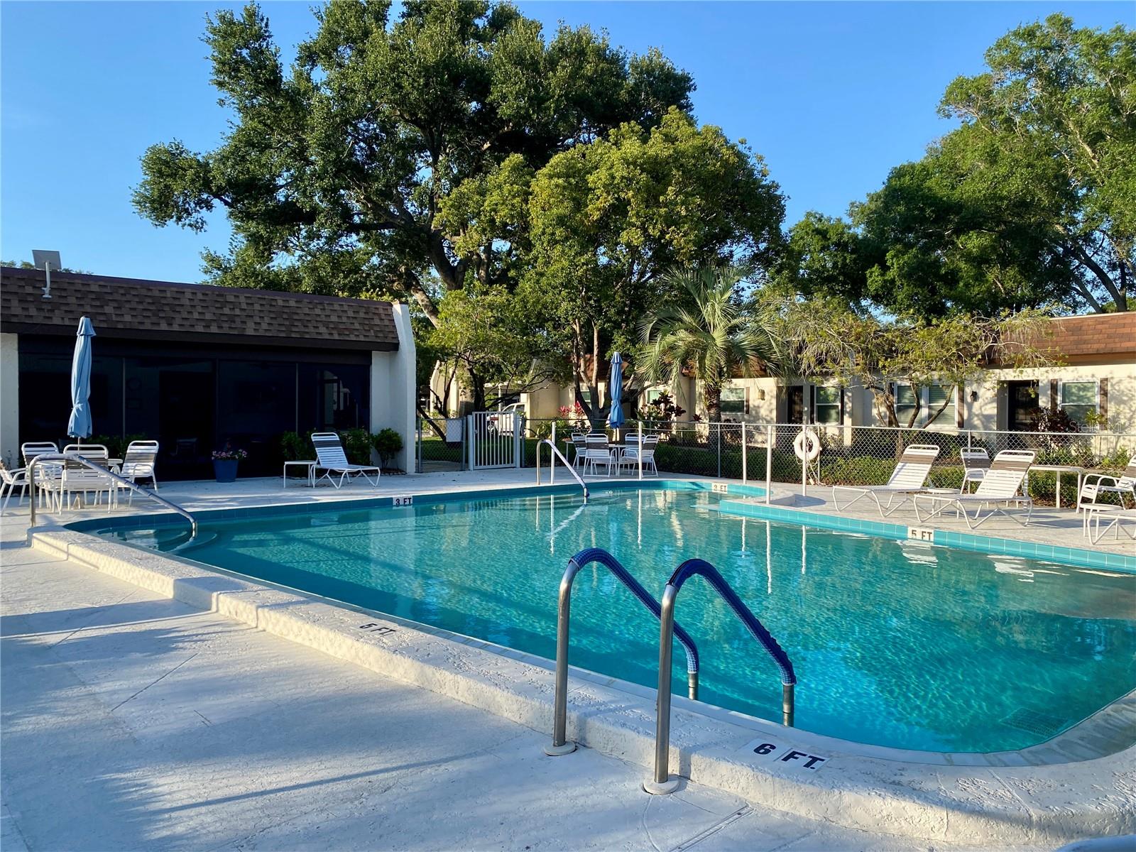 3157 MISSION GROVE DR, PALM HARBOR, FL, 34684