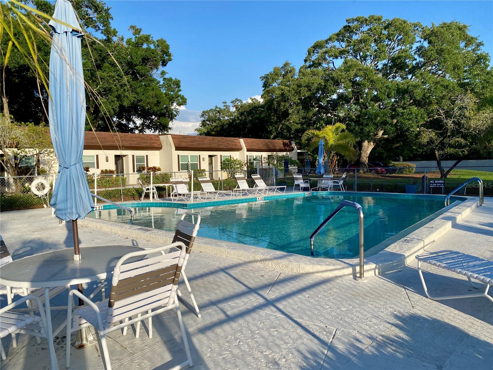 3157 MISSION GROVE DR, PALM HARBOR, FL, 34684
