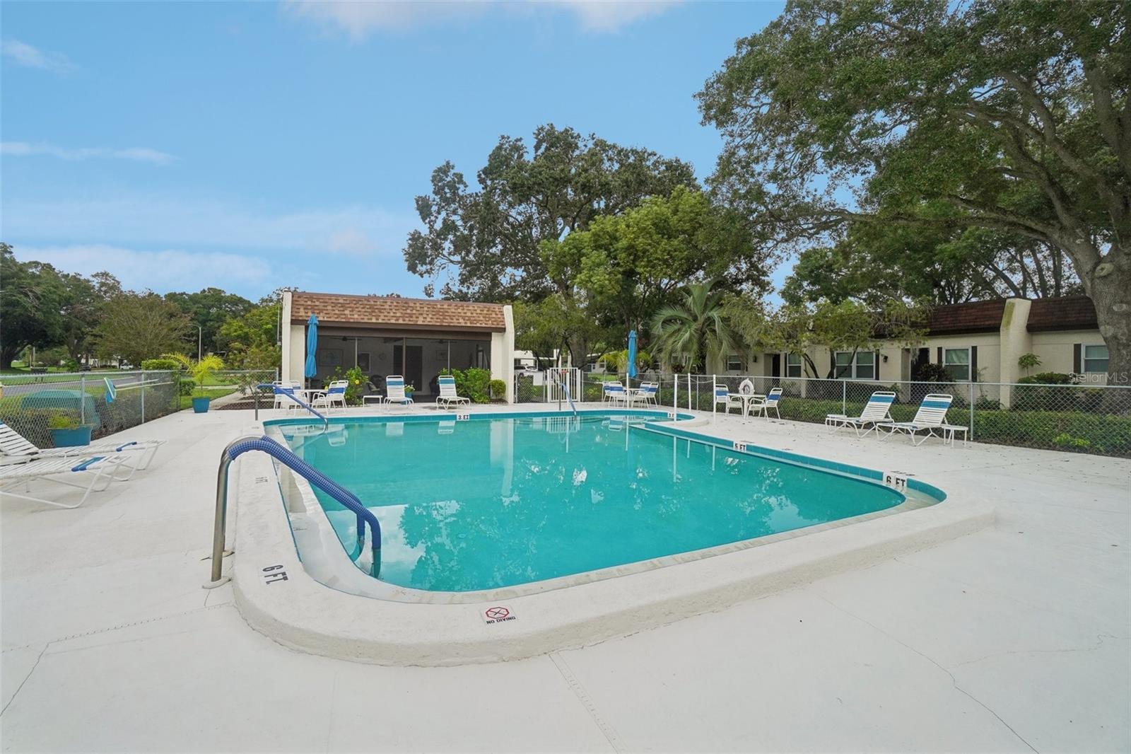 3157 MISSION GROVE DR, PALM HARBOR, FL, 34684