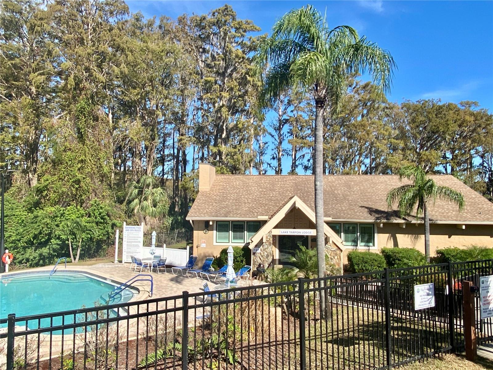 3157 MISSION GROVE DR, PALM HARBOR, FL, 34684