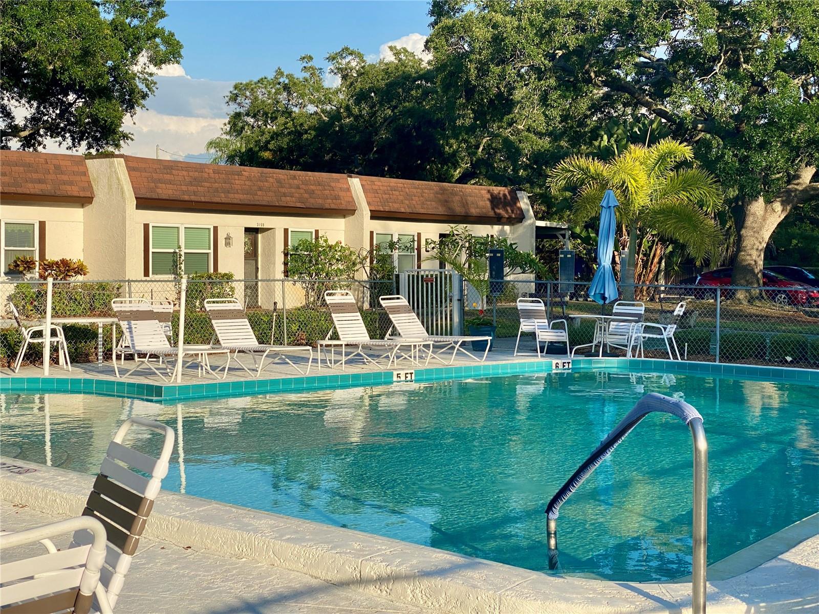 3157 MISSION GROVE DR, PALM HARBOR, FL, 34684