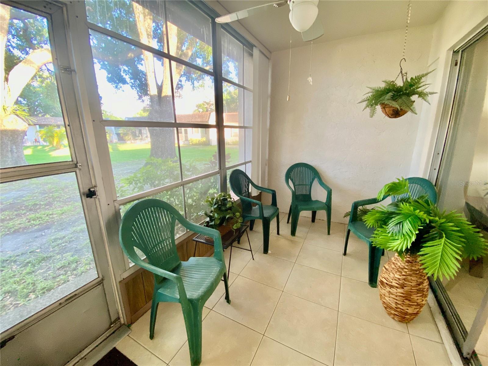 3157 MISSION GROVE DR, PALM HARBOR, FL, 34684