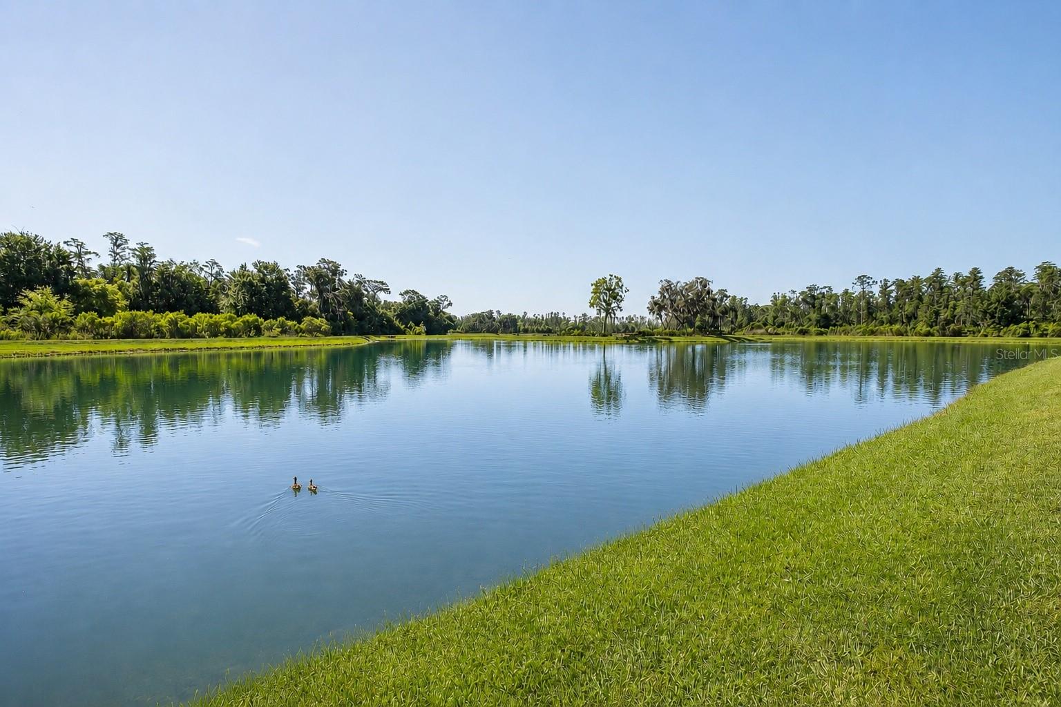 3880 MELLON DR, ODESSA, FL, 33556