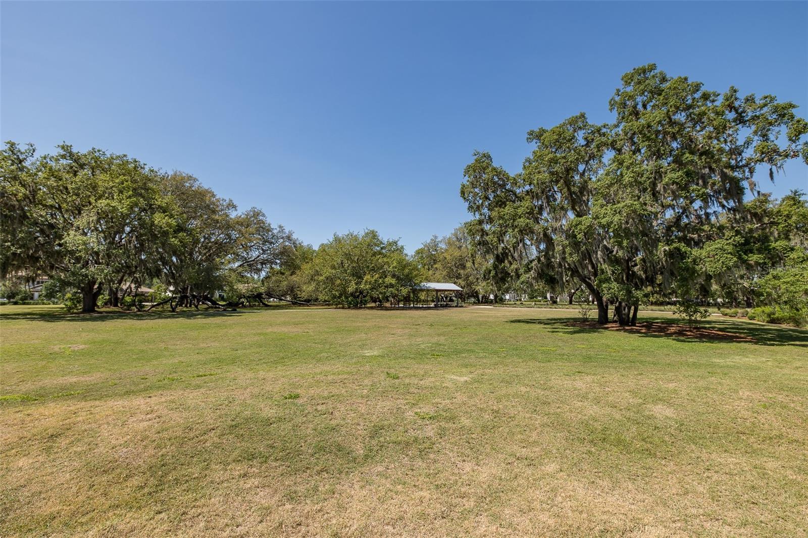 3880 MELLON DR, ODESSA, FL, 33556