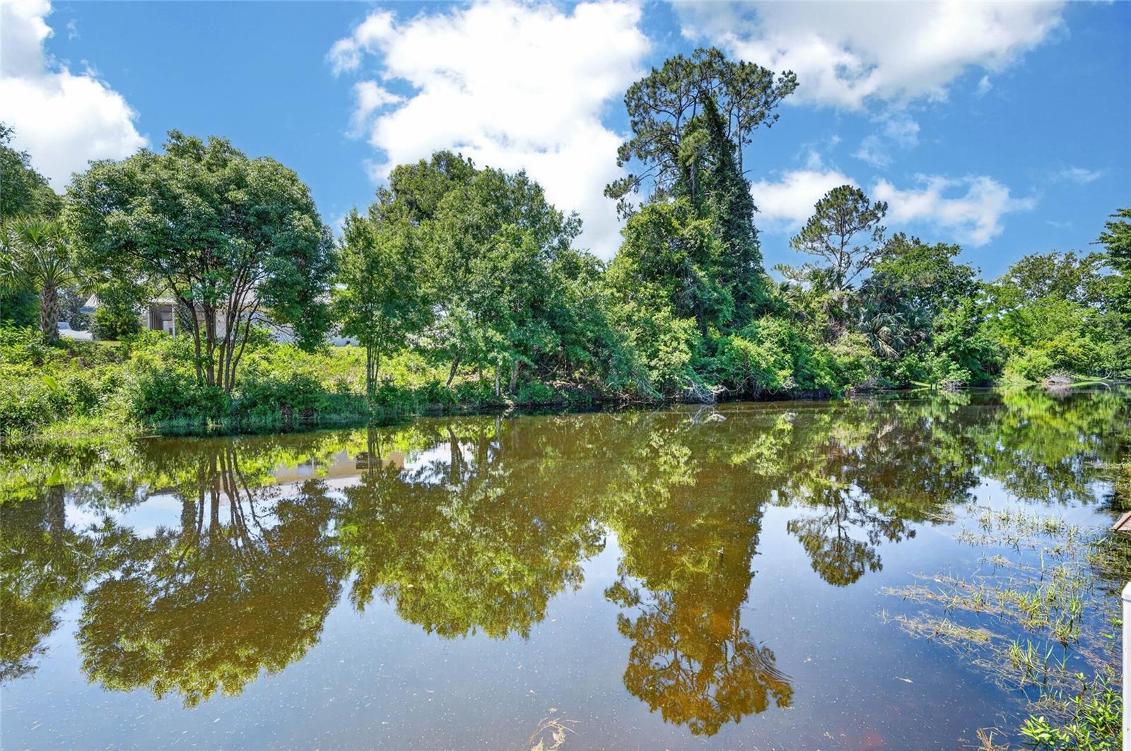 36 FLAMINGO DR, PALM COAST, FL, 32137