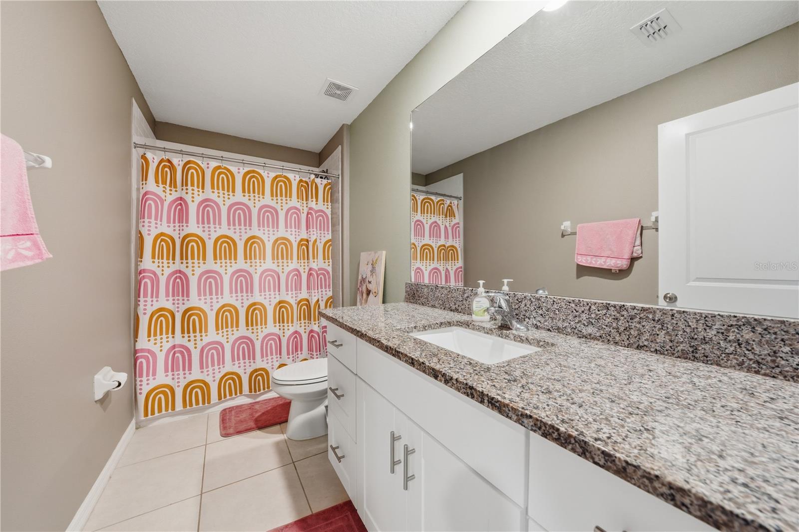 10291 SHADY PRESERVE DR, RIVERVIEW, FL, 33578