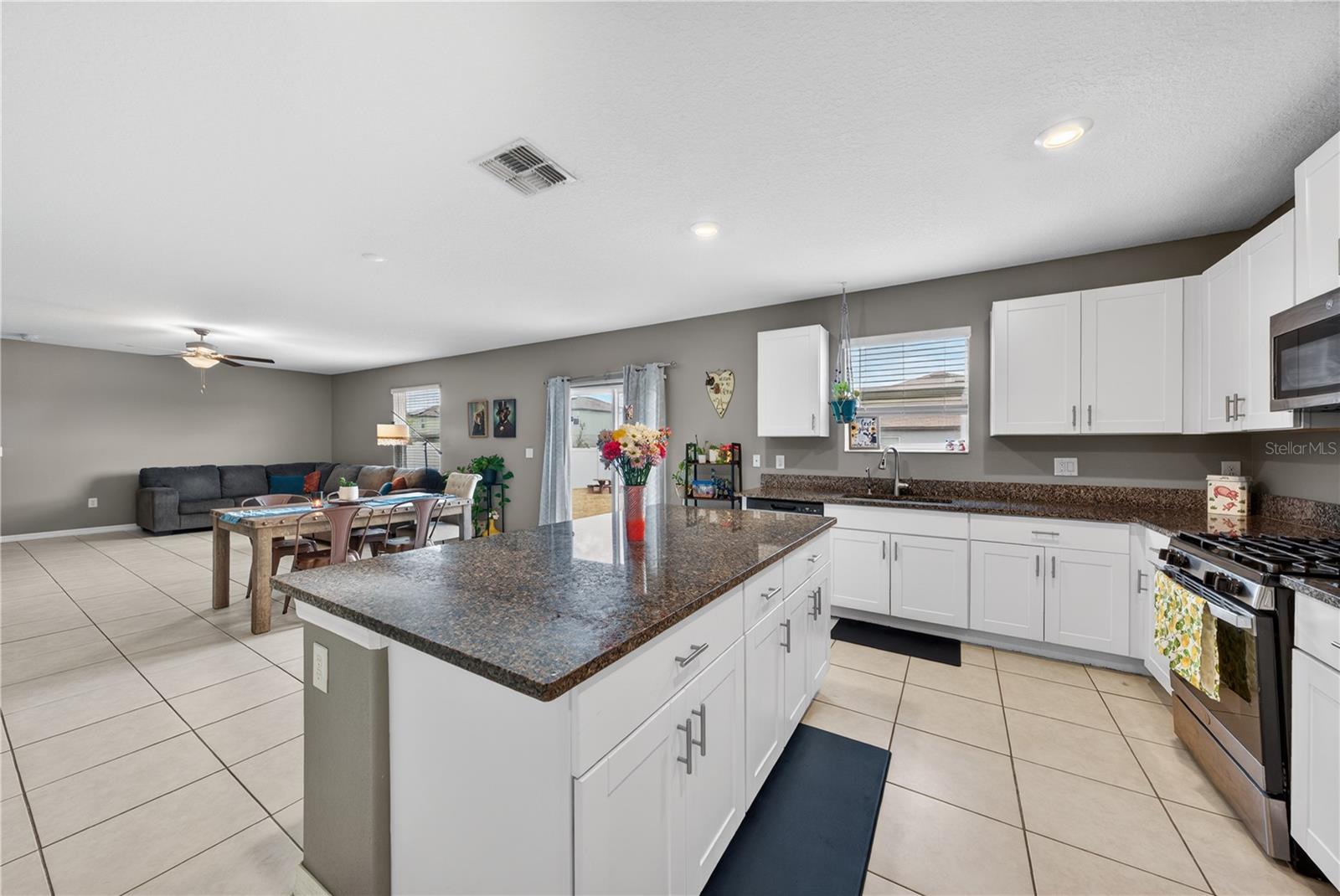 10291 SHADY PRESERVE DR, RIVERVIEW, FL, 33578