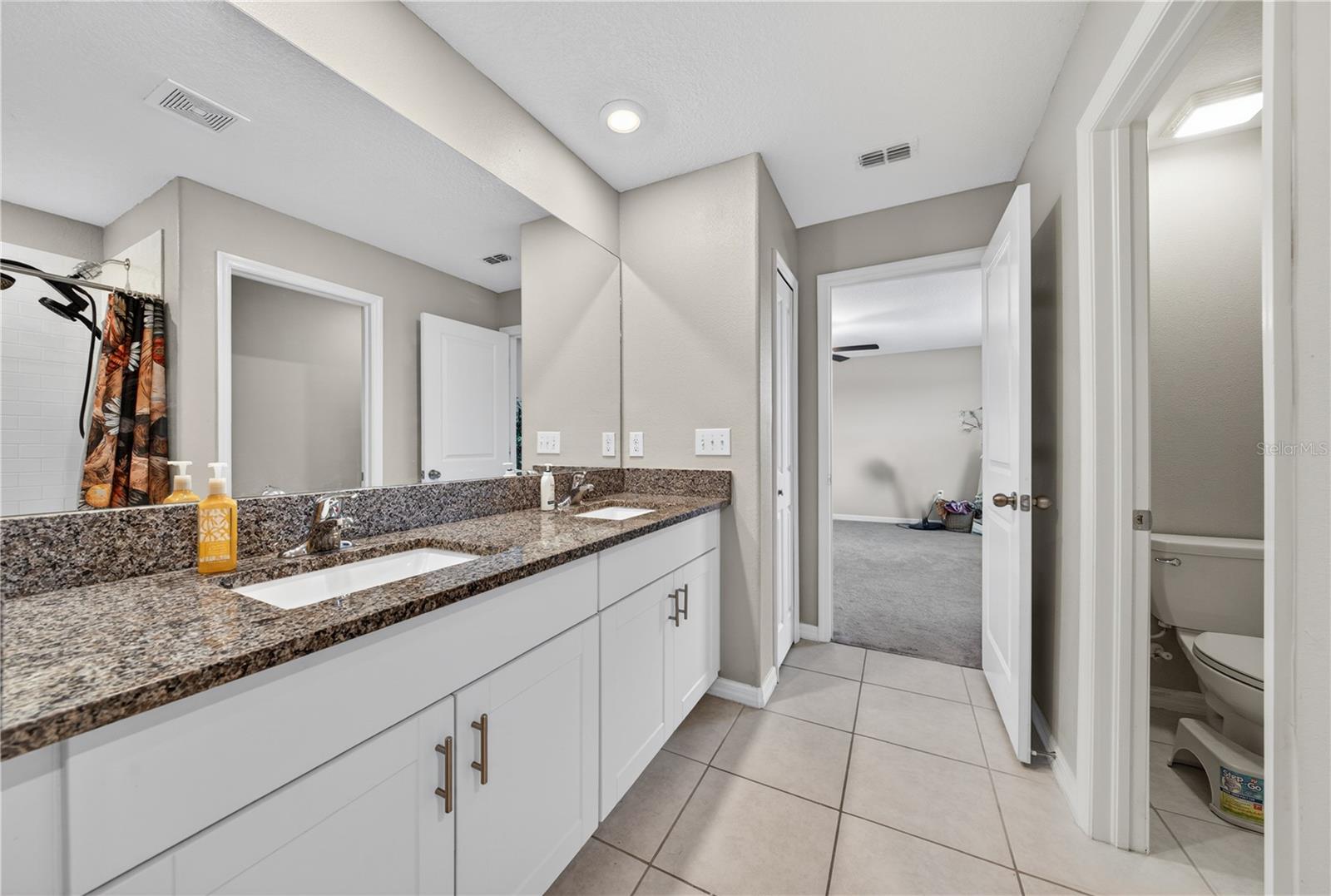 10291 SHADY PRESERVE DR, RIVERVIEW, FL, 33578