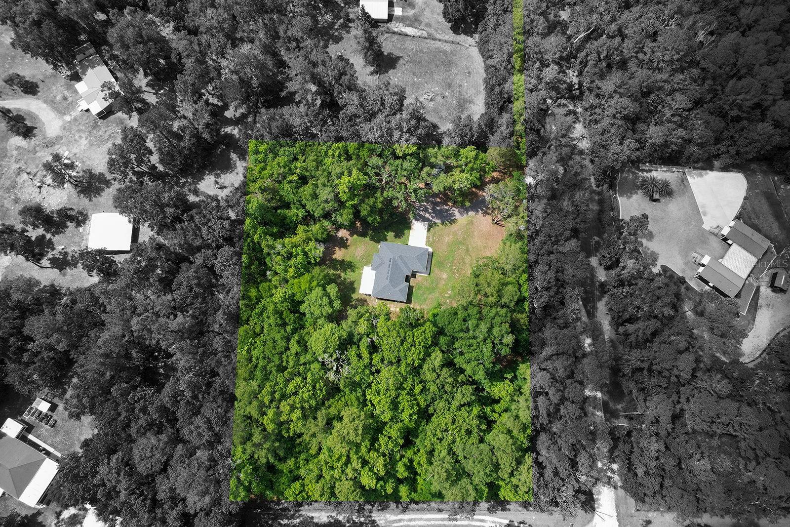 4369 SE 130TH ST, BELLEVIEW, FL, 34420