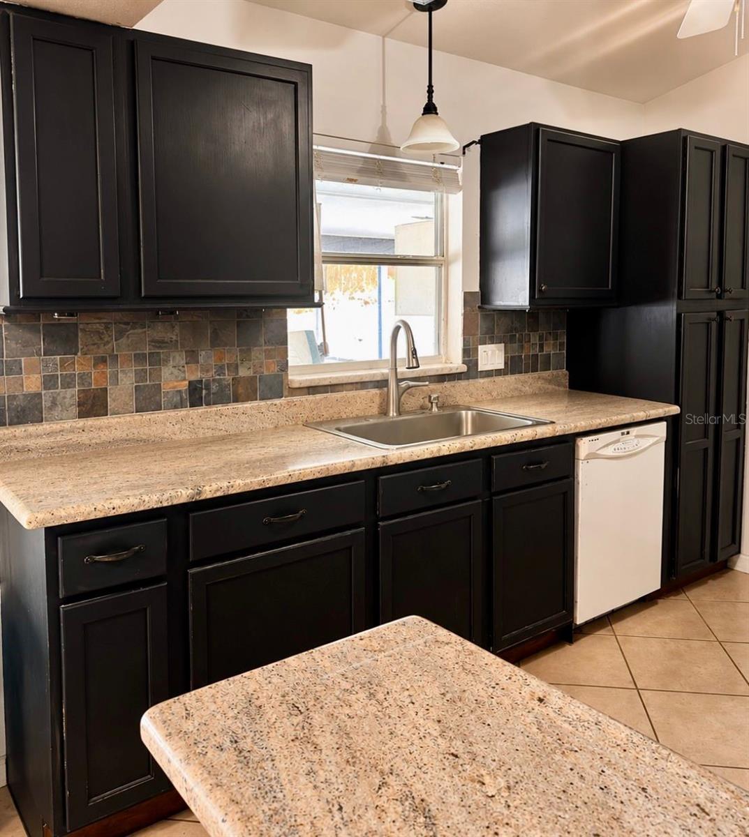 10520 REAGANS RUN DR, CLERMONT, FL, 34711