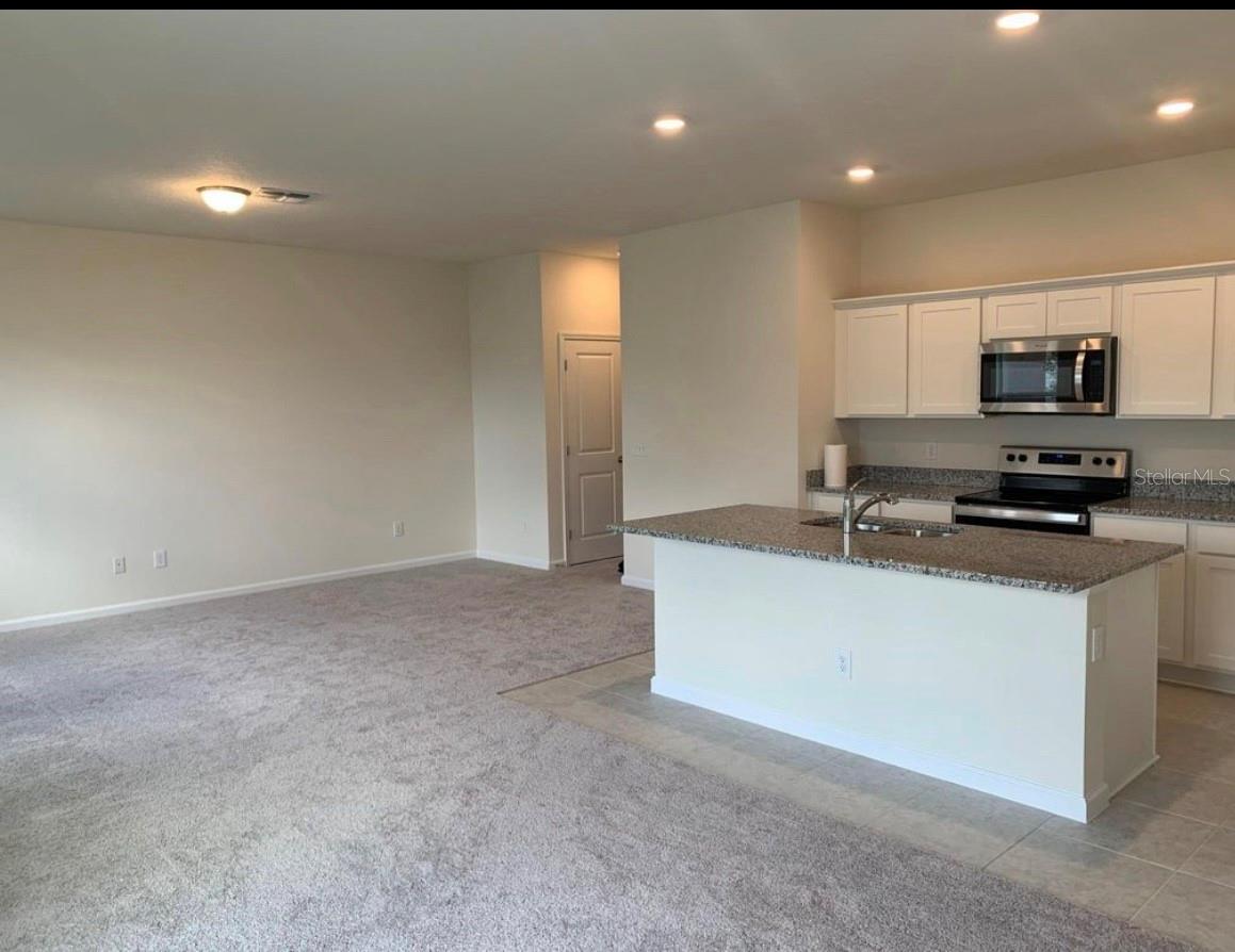 2257 LITCHFIELD LOOP, DELAND, FL, 32720