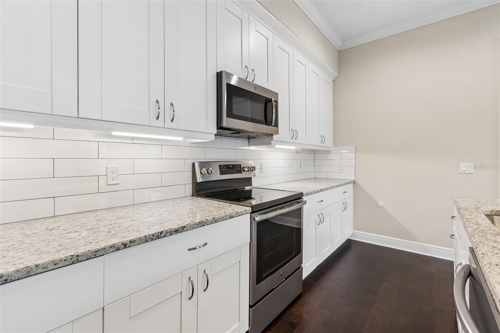 13047 SANCTUARY VILLAGE LN, TAMPA, FL, 33624
