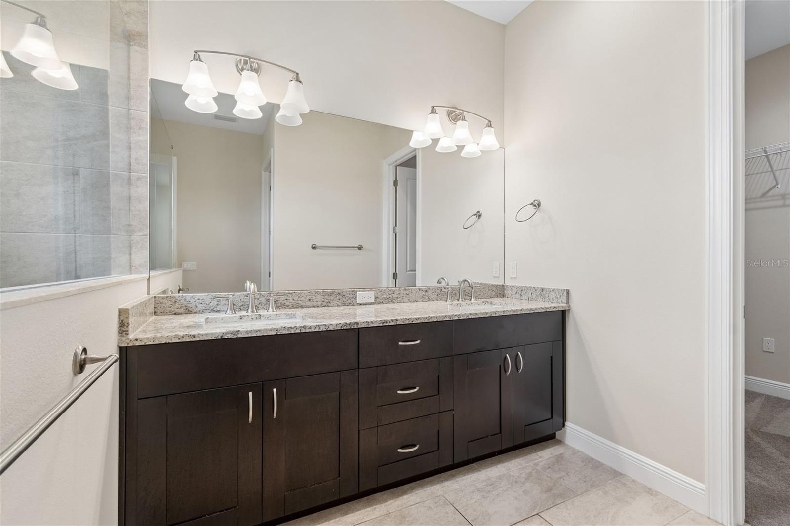 13047 SANCTUARY VILLAGE LN, TAMPA, FL, 33624