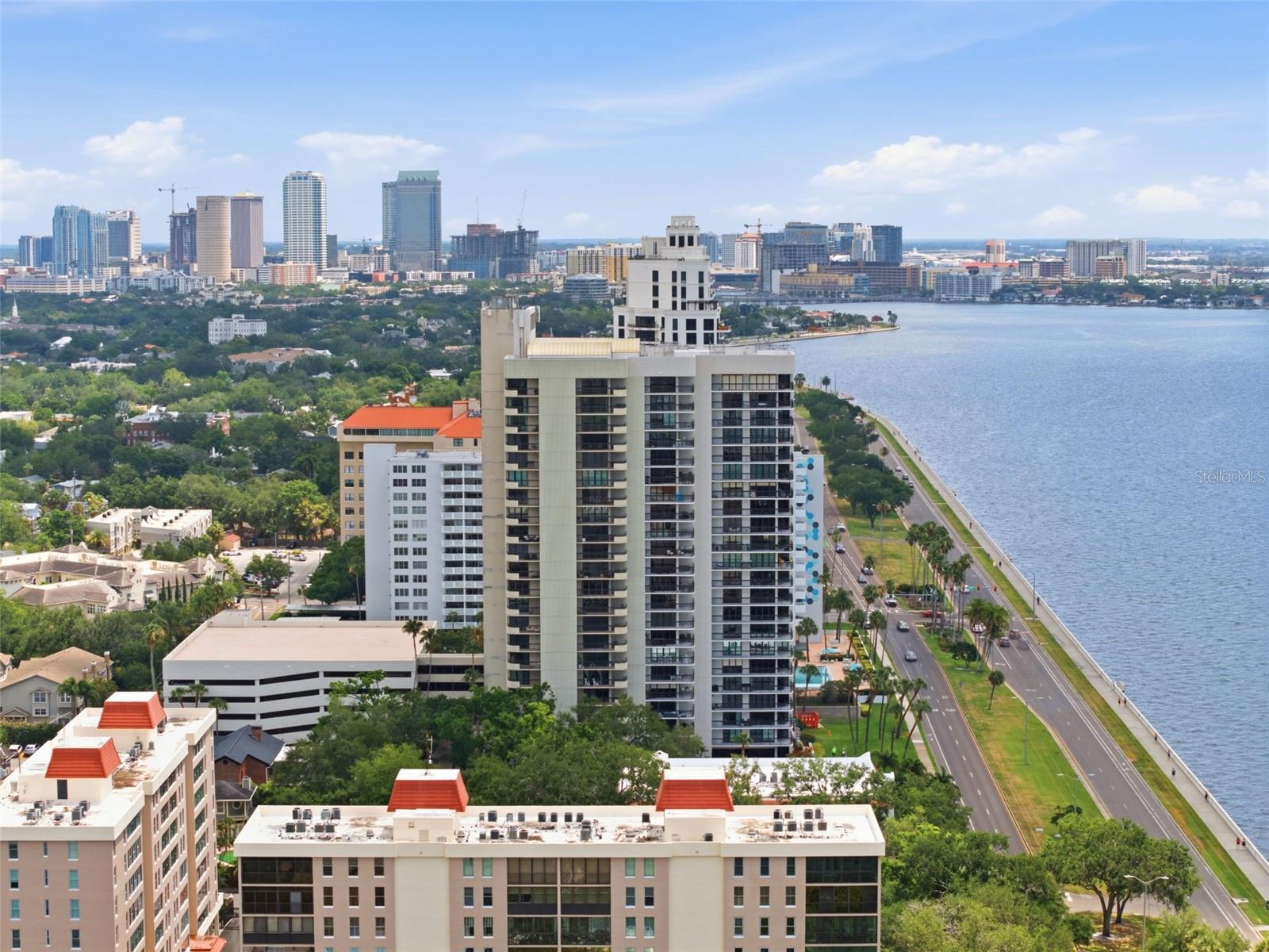 2413 BAYSHORE BLVD #1004, TAMPA, FL, 33629