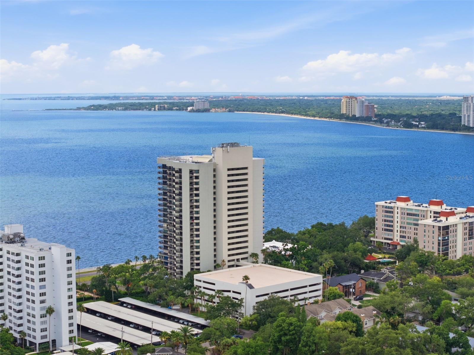 2413 BAYSHORE BLVD #1004, TAMPA, FL, 33629