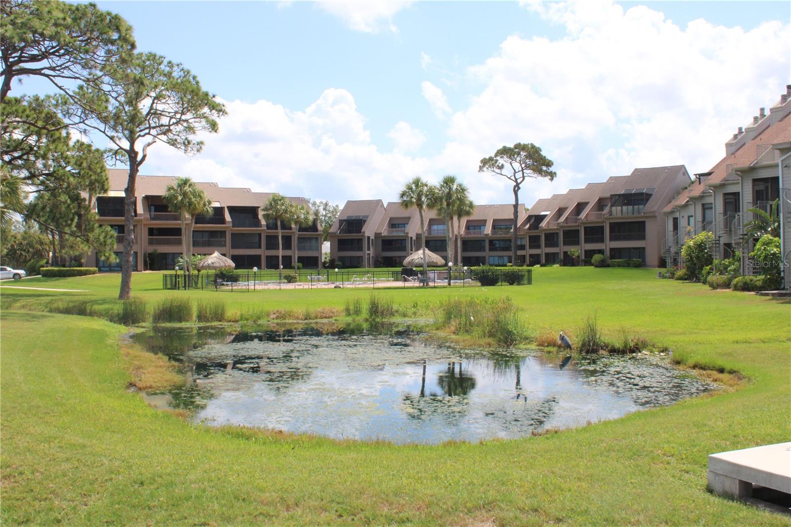 335 WINDRUSH LOOP #335, TARPON SPRINGS, FL, 34689