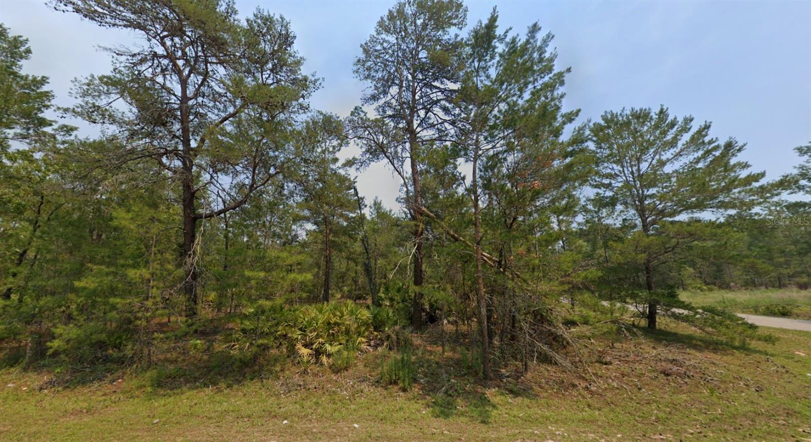 MALAUKA LN, OCKLAWAHA, FL, 32179