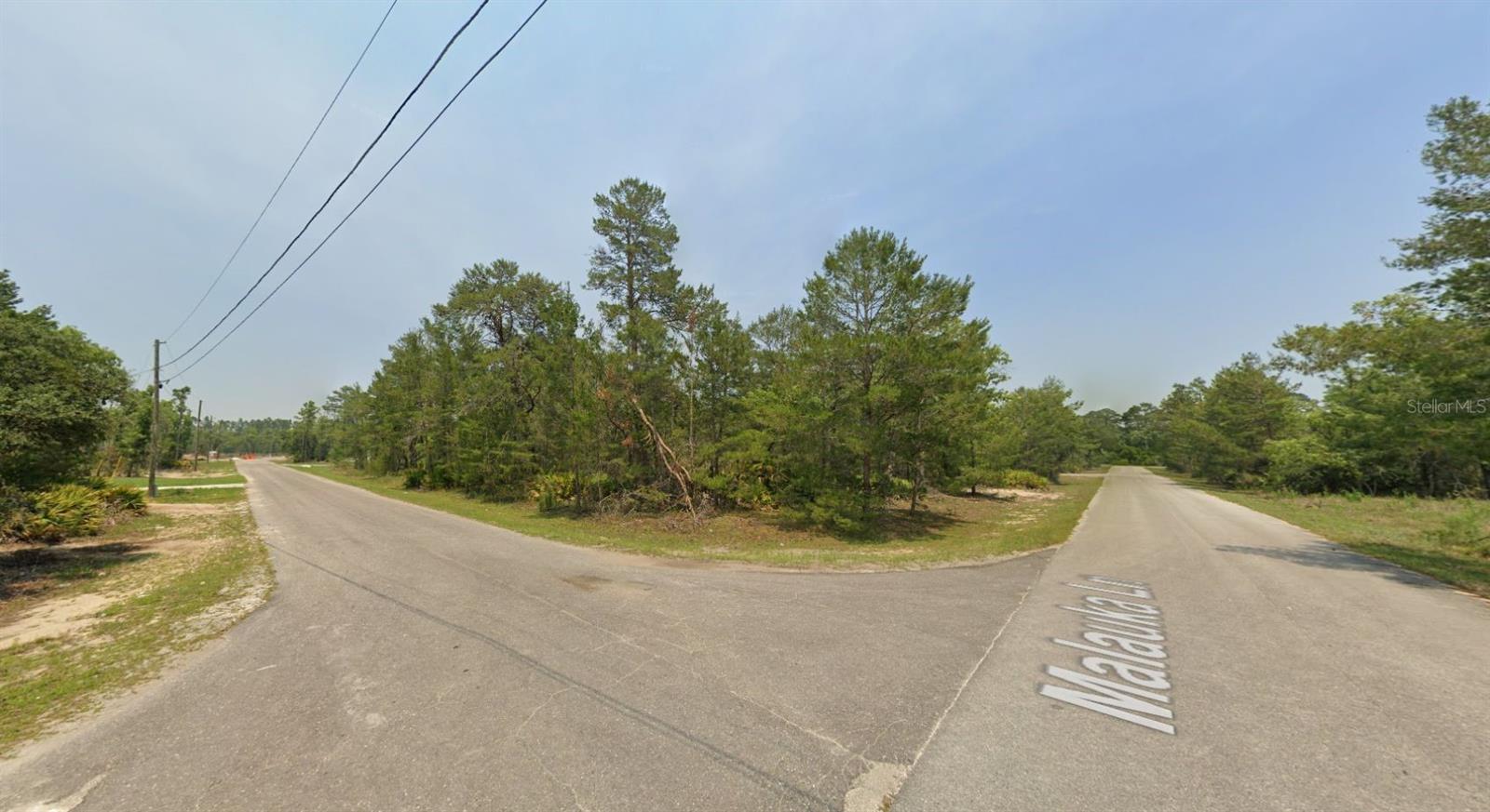 MALAUKA LN, OCKLAWAHA, FL, 32179