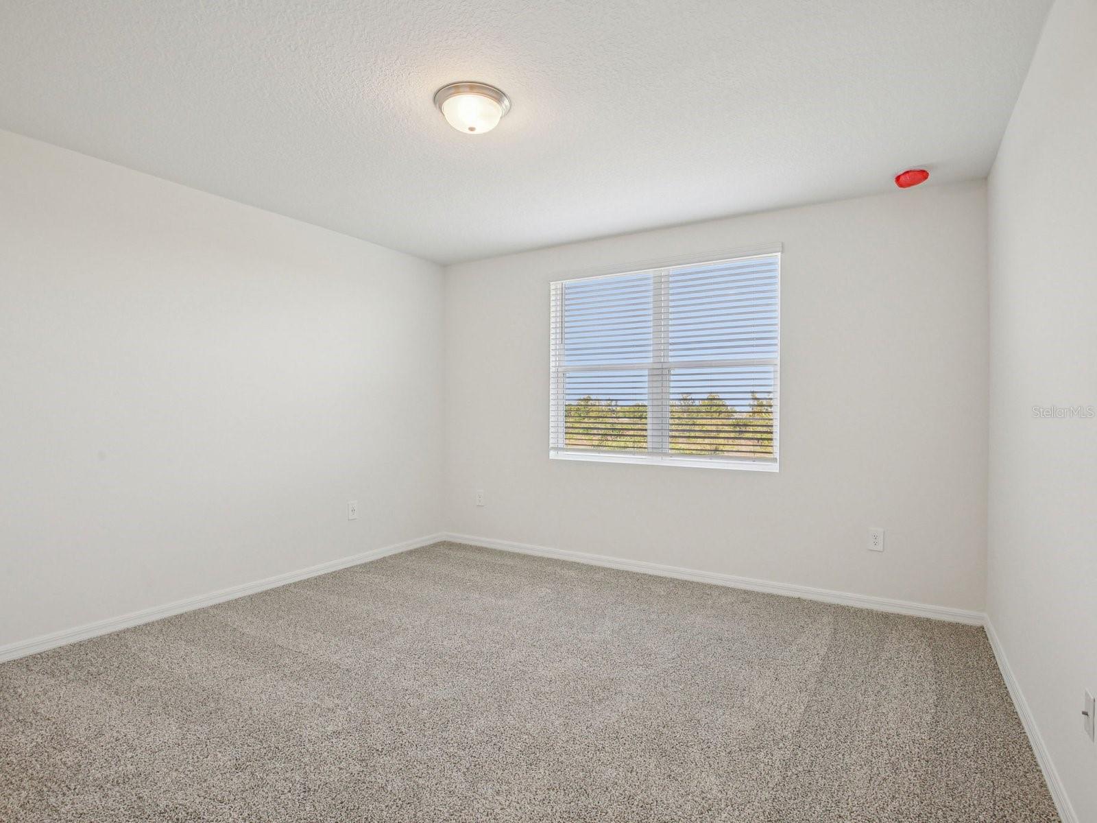 823 SUNSHOWER DR, LADY LAKE, FL, 32159