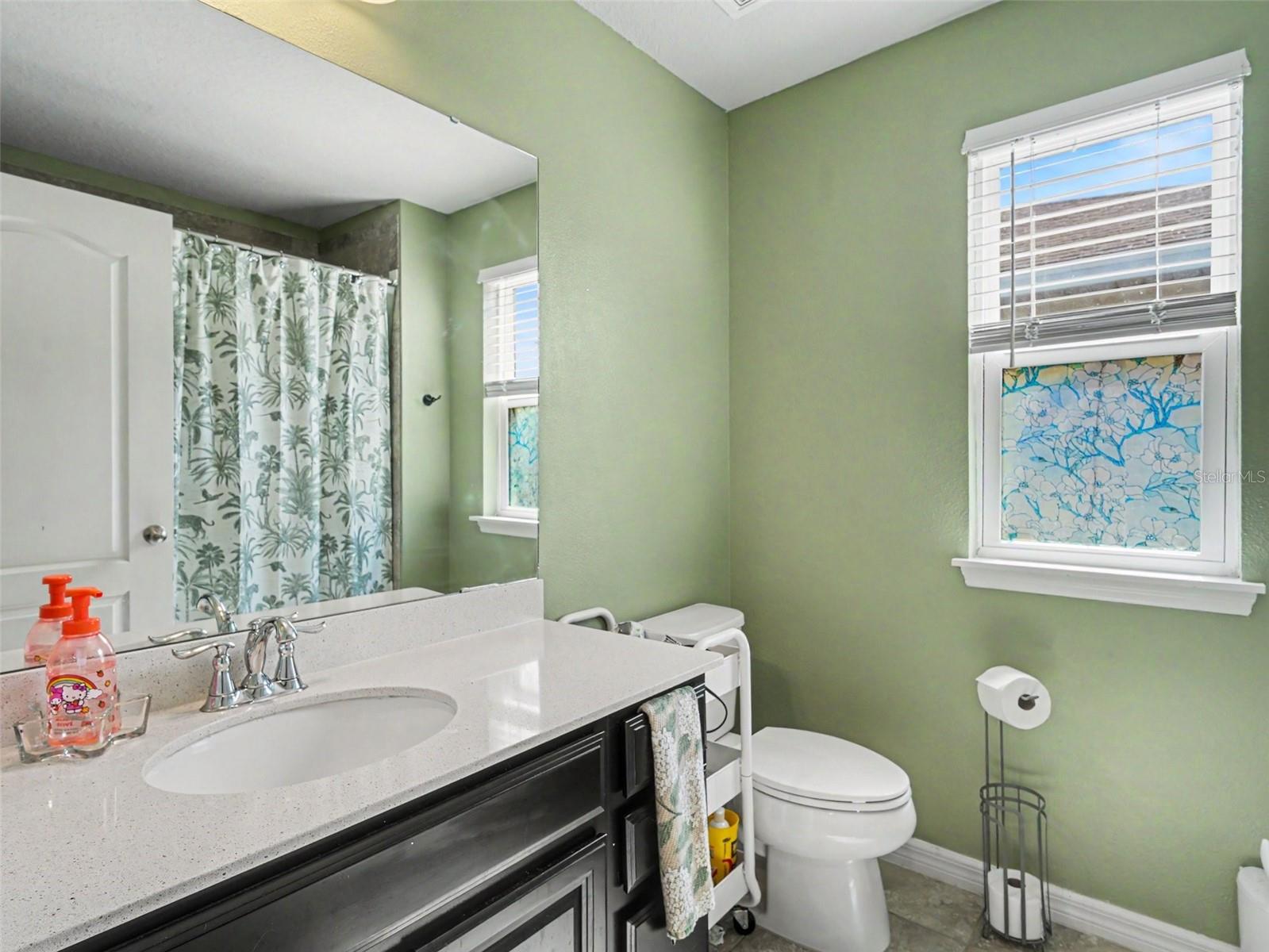 11609 FRINGETREE CT, RIVERVIEW, FL, 33579
