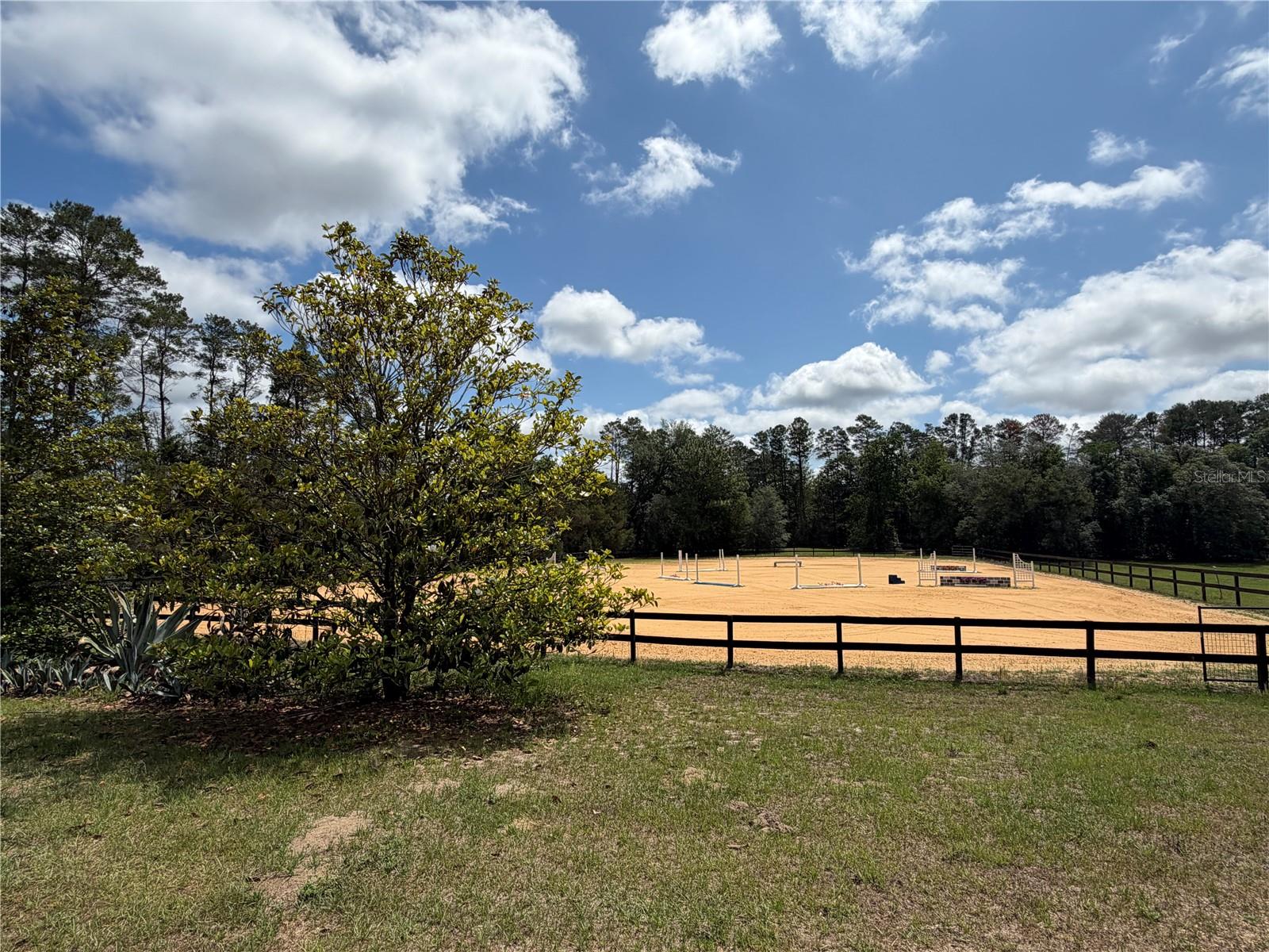 4251 NE 136TH AVE, WILLISTON, FL, 32696