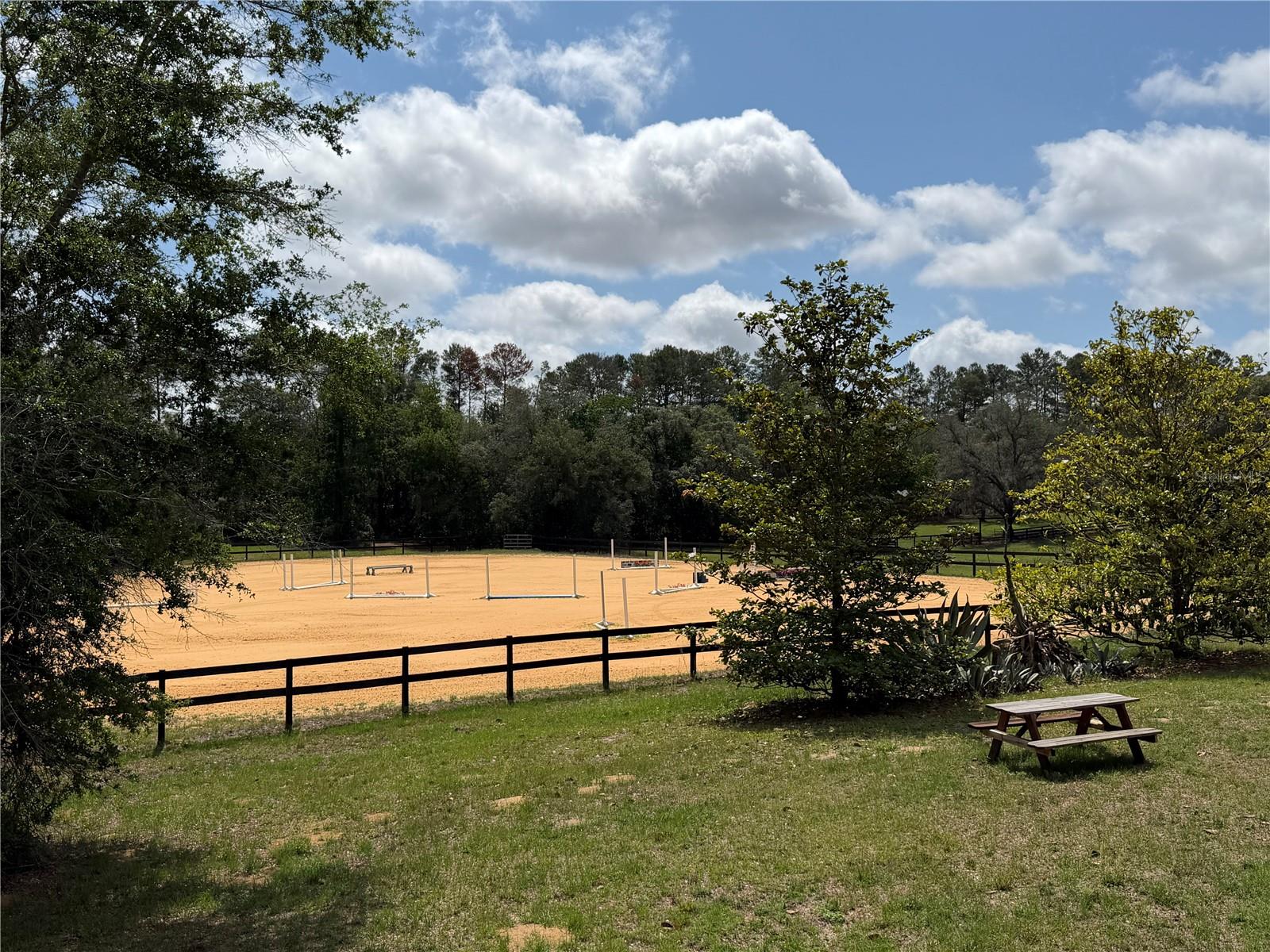 4251 NE 136TH AVE, WILLISTON, FL, 32696