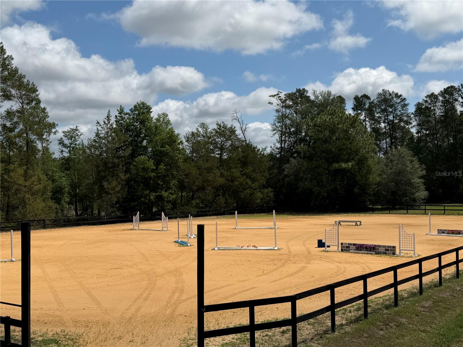 4251 NE 136TH AVE, WILLISTON, FL, 32696